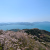 桜と瀬戸の島々