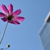 青い空に