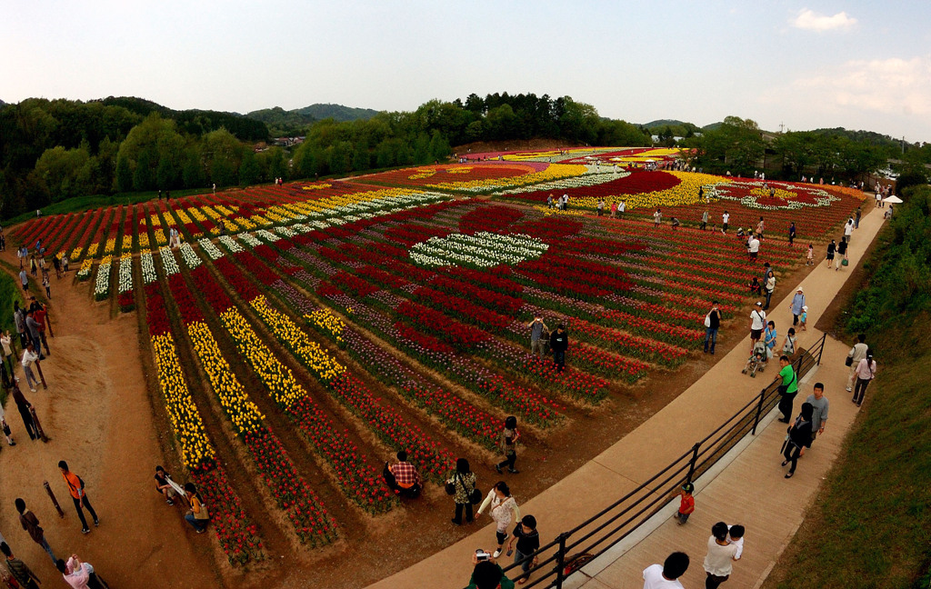 FlowerArt　with　Tulips