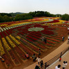 FlowerArt　with　Tulips