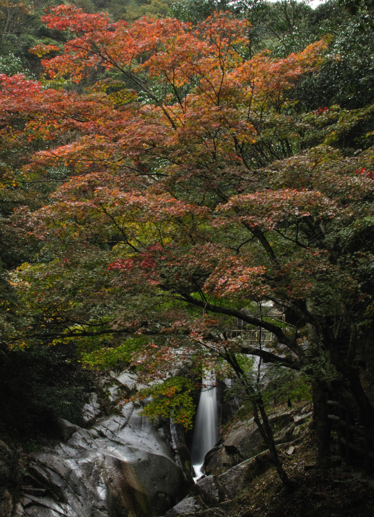 滝と岩場と少しの秋