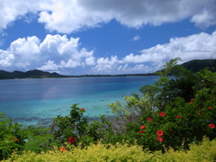 R0016366