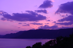 DSC_5390_3488