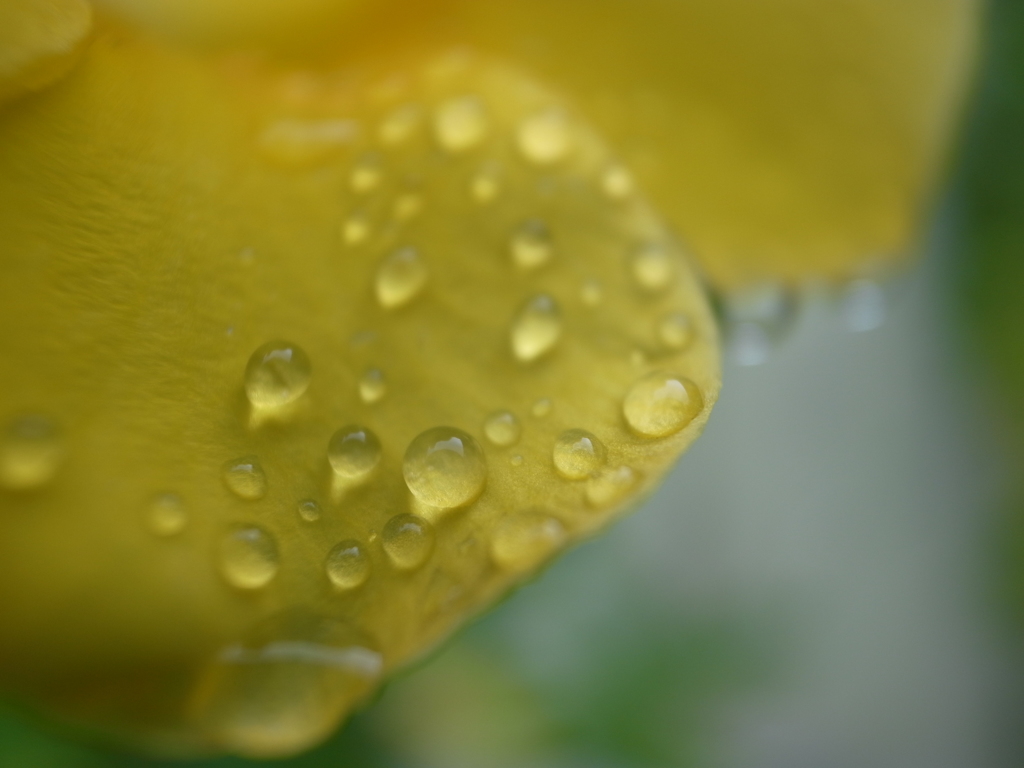 R0018952_2638
