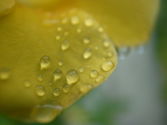 R0018952_2638