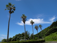 R0016295