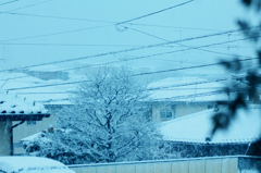 とある雪の日