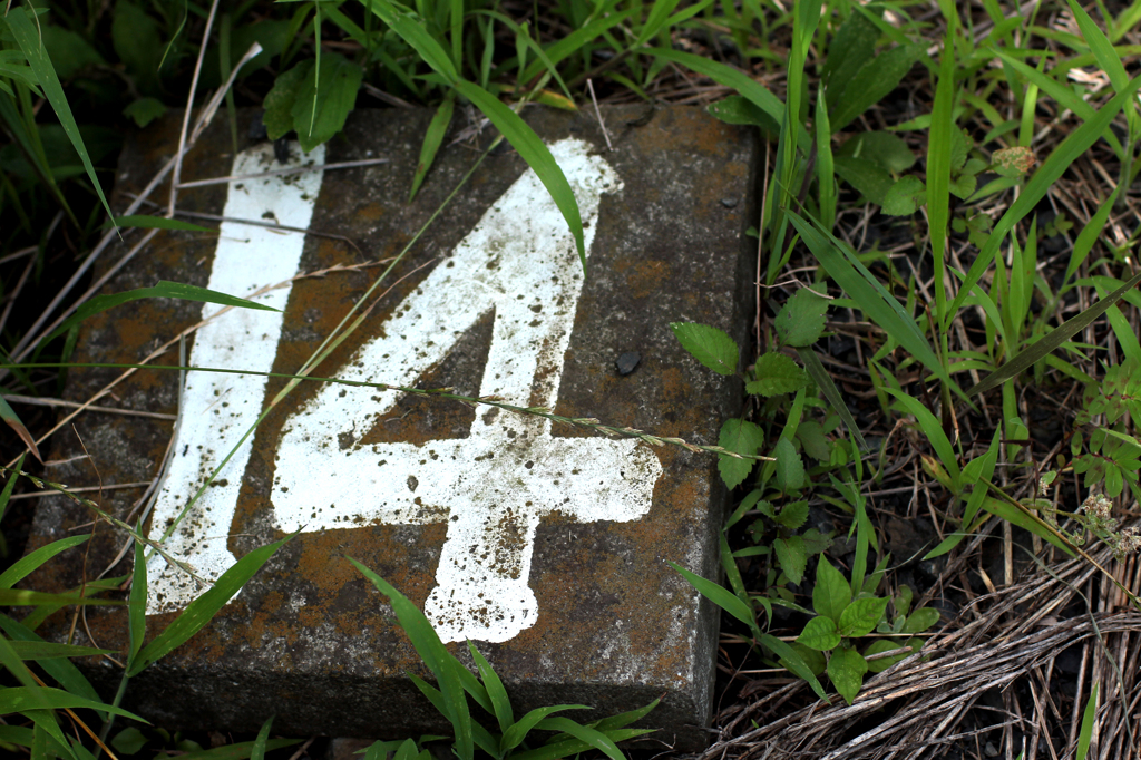 いにしえのプレート