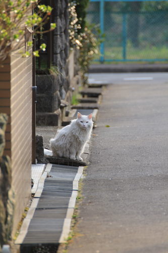 通りすがりの視線
