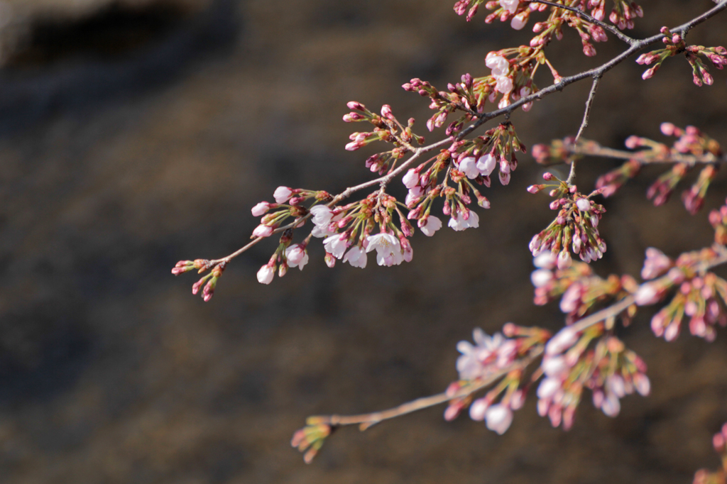 あとすこし・・・