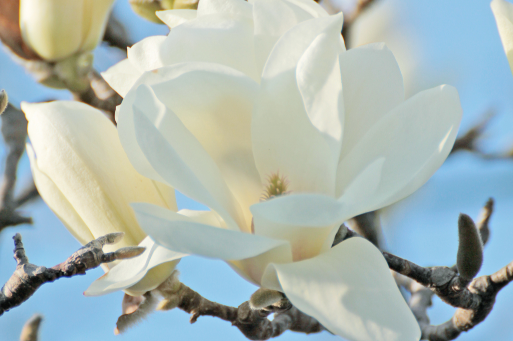はんかち落ちますよ・・・