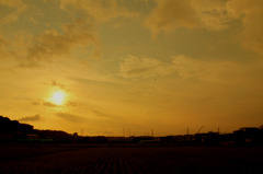 ちょっと田舎な横浜の田園の夕日