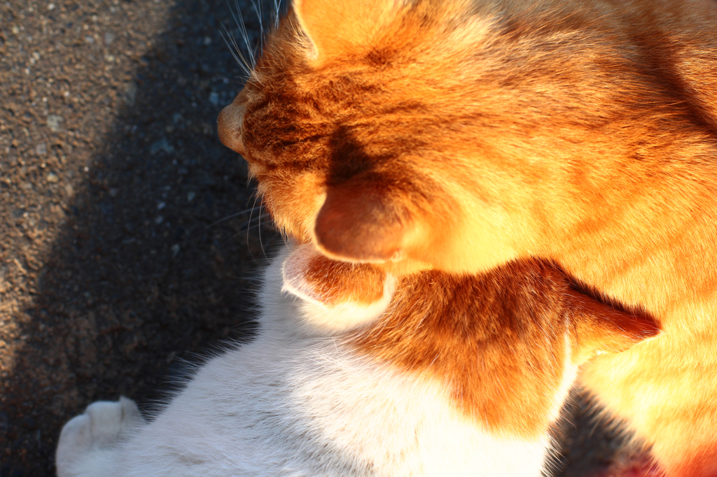 あったかいね～