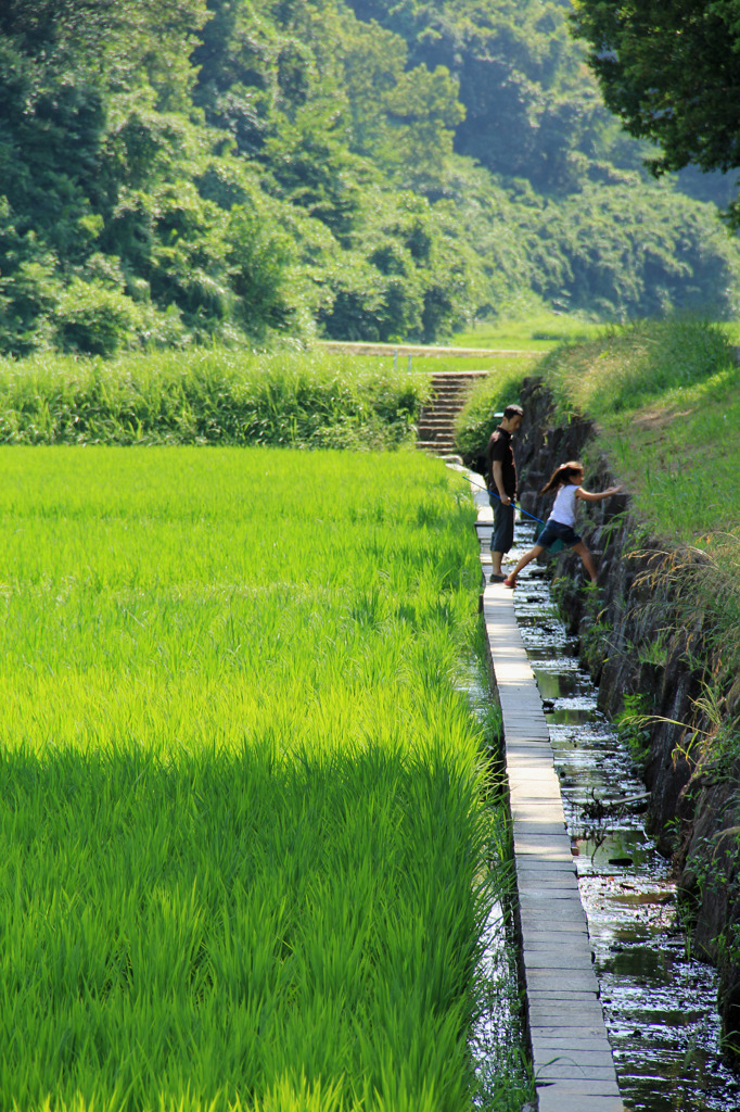 夏休み