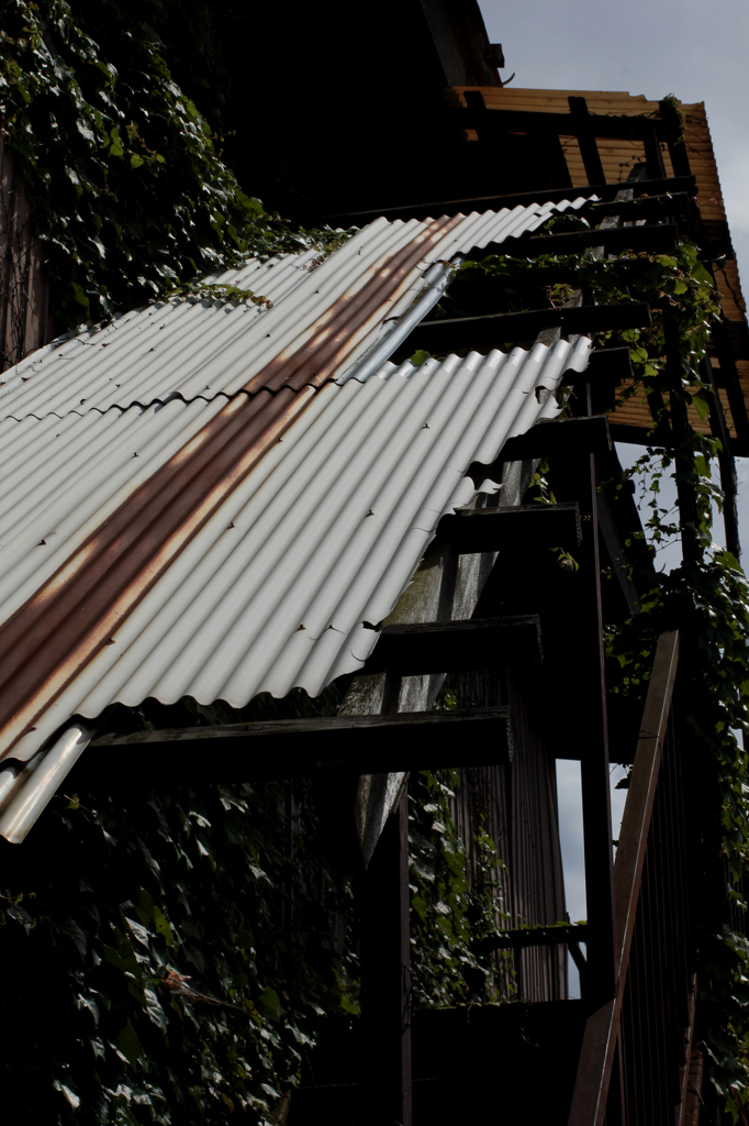 使われなくなった階段