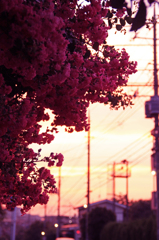 夏の夕暮れ