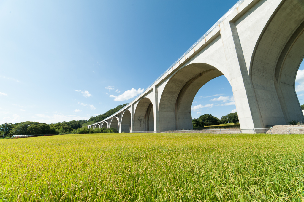 秋晴れのローマン橋