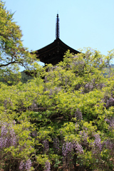 前山寺