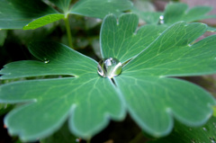 waterdrop