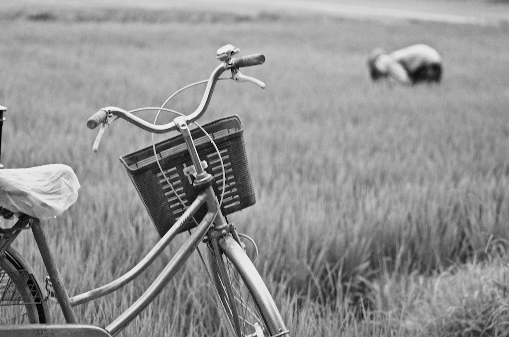 おじいちゃんの自転車