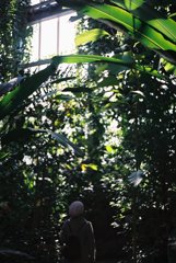 高知県立牧野植物園