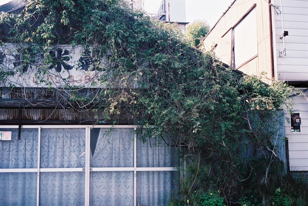 高知・はりまや町