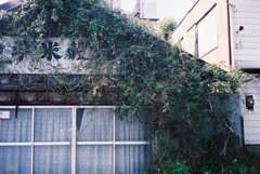 高知・はりまや町