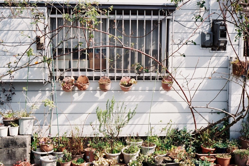 高知・はりまや町