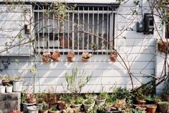 高知・はりまや町