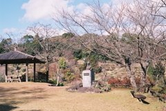 高知県立牧野植物園