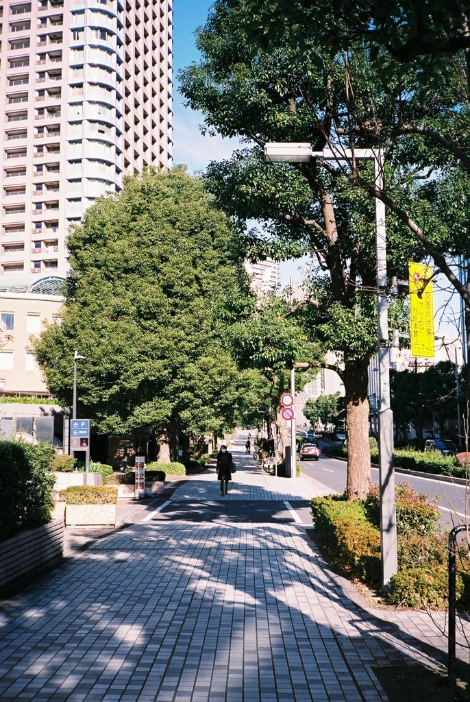 東京散歩