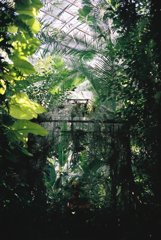 高知県立牧野植物園