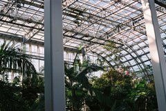 高知県立牧野植物園