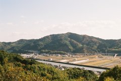 高知県立牧野植物園