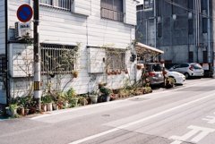 高知・はりまや町