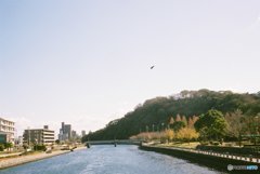 吉野川支流河畔⑧