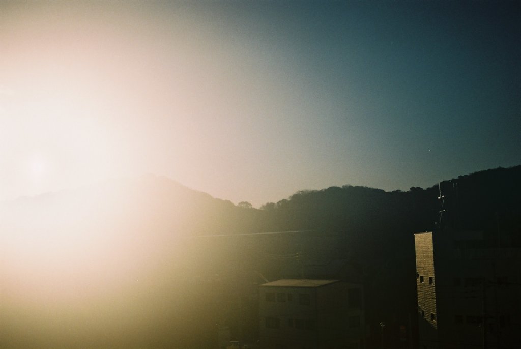 朝