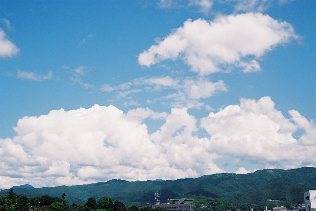 高知の夏④