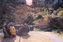 高知県立牧野植物園