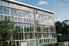 高知県立牧野植物園