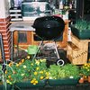 店先の植栽