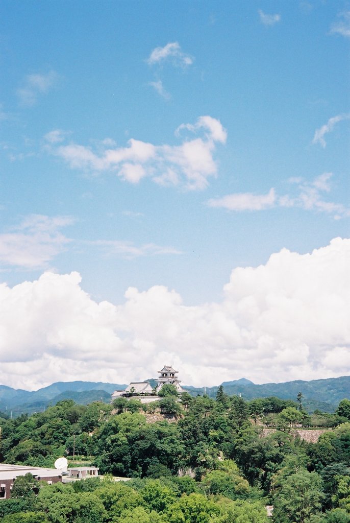 高知の夏②