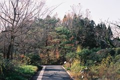 高知県立牧野植物園