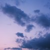 暮れなずむ高知城Ⅱ
