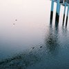 高知鏡川