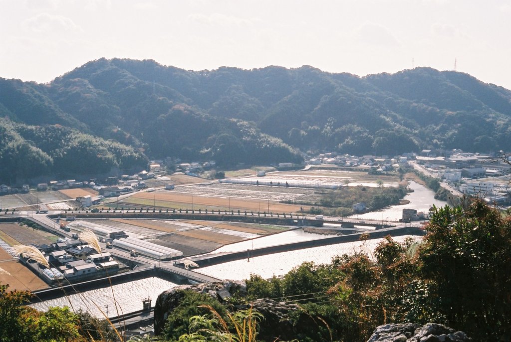 高知県立牧野植物園