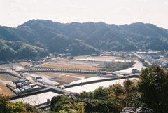 高知県立牧野植物園