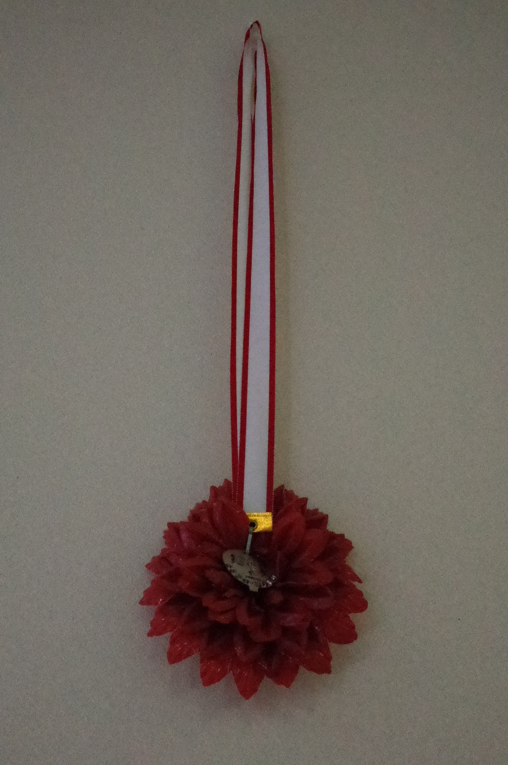 いのビエンナーレ２０１７　島崎桃代作品＠いの・なないろ