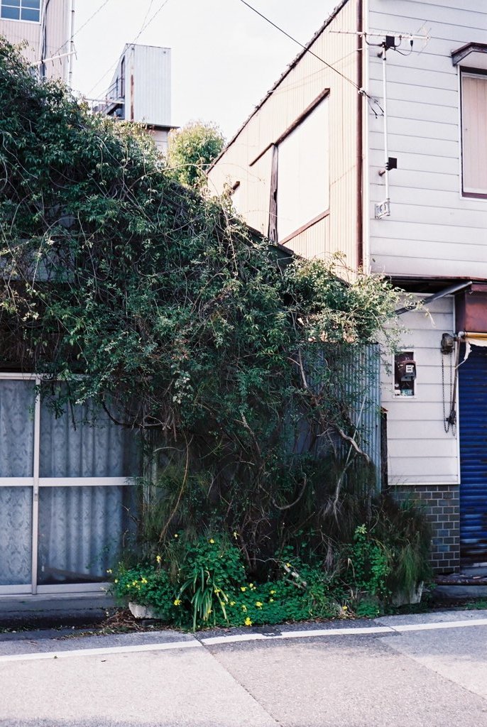 高知・はりまや町