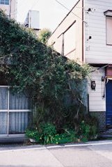 高知・はりまや町